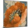 Orange Poppy-Lanie Loreth-Mounted Art Print