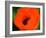 Orange Poppy-Savanah Plank-Framed Photo