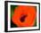 Orange Poppy-Savanah Plank-Framed Photo