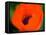 Orange Poppy-Savanah Plank-Framed Stretched Canvas