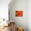 Orange Poppy-Savanah Plank-Photo displayed on a wall