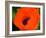 Orange Poppy-Savanah Plank-Framed Photo