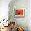 Orange Poppy-Savanah Plank-Framed Photo displayed on a wall