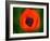 Orange Poppy-Savanah Plank-Framed Photo