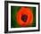 Orange Poppy-Savanah Plank-Framed Photo