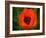 Orange Poppy-Savanah Plank-Framed Photo