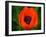 Orange Poppy-Savanah Plank-Framed Photo