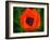 Orange Poppy-Savanah Plank-Framed Photo