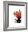 Orange Protea 1-Jenny Kraft-Framed Art Print