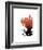 Orange Protea 1-Jenny Kraft-Framed Art Print