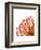 Orange Protea 4 (detail)-Jenny Kraft-Framed Art Print