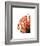 Orange Protea 4-Jenny Kraft-Framed Art Print