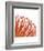 Orange Protea 5 (detail)-Jenny Kraft-Framed Art Print