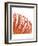 Orange Protea 5 (detail)-Jenny Kraft-Framed Art Print