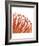 Orange Protea 5 (detail)-Jenny Kraft-Framed Art Print