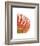 Orange Protea 5-Jenny Kraft-Framed Art Print