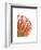 Orange Protea 5-Jenny Kraft-Framed Art Print