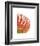 Orange Protea 5-Jenny Kraft-Framed Art Print