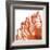 Orange Protea IV (detail)-Jenny Kraft-Framed Giclee Print