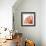 Orange Protea IV (detail)-Jenny Kraft-Framed Giclee Print displayed on a wall