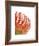 Orange Protea V-Jenny Kraft-Framed Giclee Print