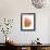 Orange Protea V-Jenny Kraft-Framed Giclee Print displayed on a wall