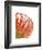 Orange Protea V-Jenny Kraft-Framed Giclee Print