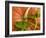 Orange Pumpkin with Leaves-Vladimir Shulevsky-Framed Photographic Print