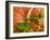 Orange Pumpkin with Leaves-Vladimir Shulevsky-Framed Photographic Print