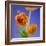 Orange Ranunculus Flowers-Clive Nichols-Framed Photographic Print