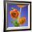 Orange Ranunculus Flowers-Clive Nichols-Framed Photographic Print