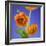 Orange Ranunculus Flowers-Clive Nichols-Framed Photographic Print