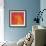 Orange Red Orchid Abstract-Shams Rasheed-Framed Giclee Print displayed on a wall