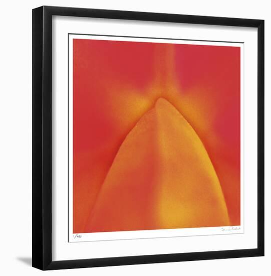 Orange Red Orchid Abstract-Shams Rasheed-Framed Giclee Print
