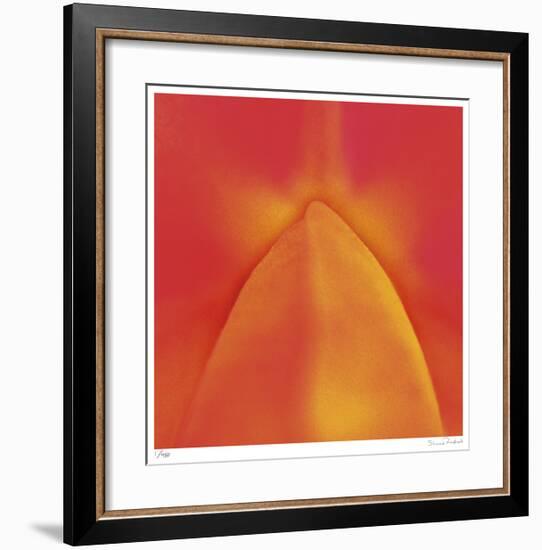 Orange Red Orchid Abstract-Shams Rasheed-Framed Giclee Print