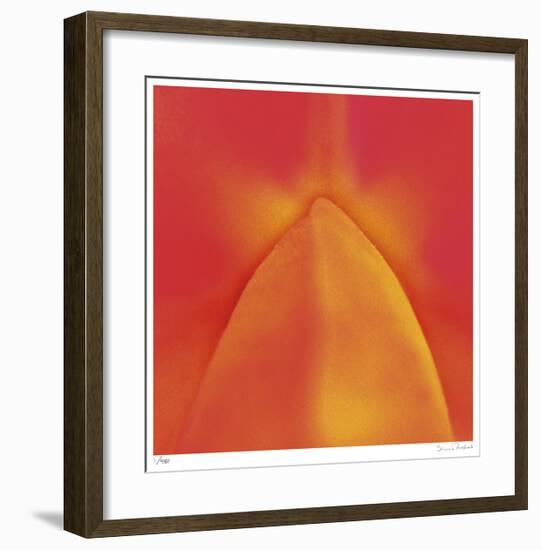 Orange Red Orchid Abstract-Shams Rasheed-Framed Giclee Print