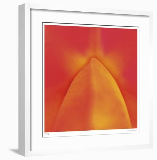Orange Red Orchid Abstract-Shams Rasheed-Framed Giclee Print