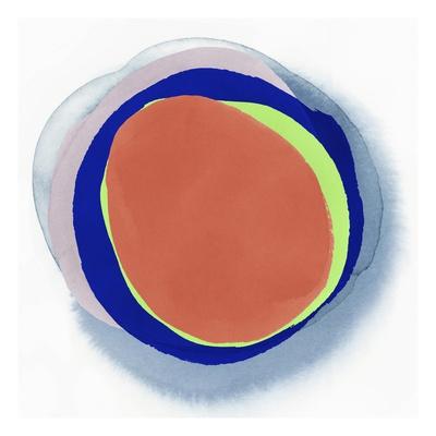 Orange Ringlet Art Print Pi Studio Art Com