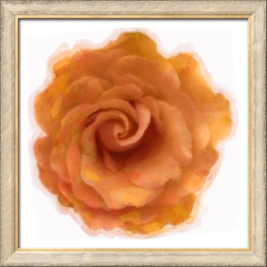 Orange Rose-Taylor Greene-Framed Art Print