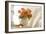 Orange Roses I-Philip Clayton-thompson-Framed Photographic Print