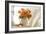 Orange Roses I-Philip Clayton-thompson-Framed Photographic Print