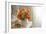 Orange Roses II-Philip Clayton-thompson-Framed Photographic Print