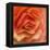 Orange Ruffles III-Rita Crane-Framed Premier Image Canvas