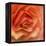 Orange Ruffles III-Rita Crane-Framed Premier Image Canvas