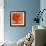 Orange Ruffles III-Rita Crane-Framed Photographic Print displayed on a wall