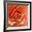 Orange Ruffles III-Rita Crane-Framed Photographic Print