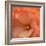 Orange Ruffles IV-Rita Crane-Framed Photographic Print