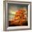 Orange Season-Philippe Sainte-Laudy-Framed Photographic Print