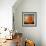 Orange Season-Philippe Sainte-Laudy-Framed Photographic Print displayed on a wall
