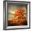 Orange Season-Philippe Sainte-Laudy-Framed Photographic Print